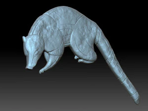 Coati Maia 3D Print Model