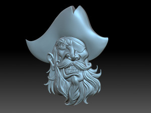 Pirate head 3D 打印模型