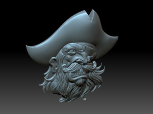 Pirate head 3D 打印模型