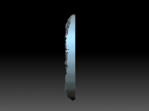 Eagle head Model do druku 3D