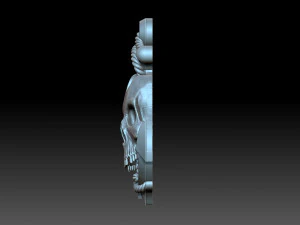 Relief skull and anchor 3D Print Model