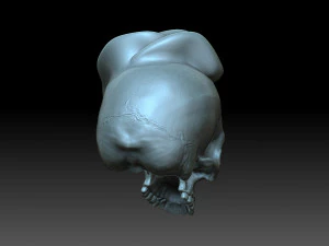 Skull with a rose 3D Print Model