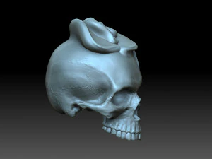 Skull with a rose 3D Print Model