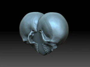 Heart with skulls 3D Print Model