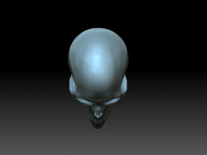 Heart with skulls Model do druku 3D
