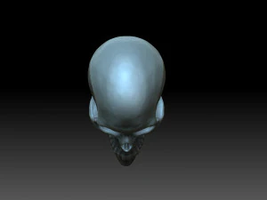 Heart with skulls 3D Print Model