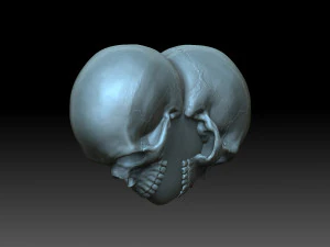 Heart with skulls 3D Print Model
