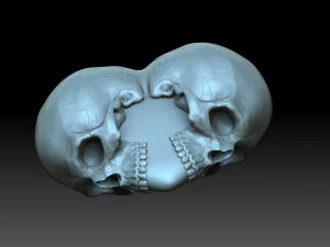 Heart with skulls 3D Print Model