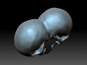 Heart with skulls Model do druku 3D