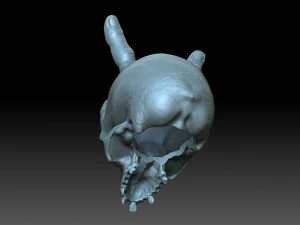 A skull with horns 3D Print Model