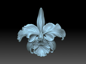 Flower 3D Print Model