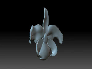 Flower 3D Print Model