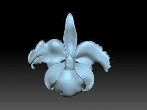 Flower 3D प्रिंट मॉडल
