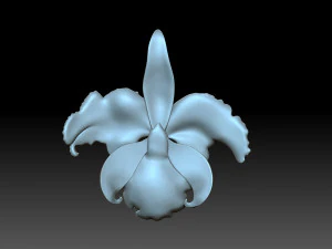 Flower 3D Print Model