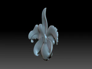 Flower 3D Print Model