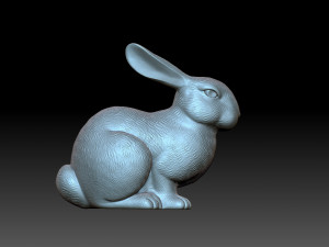 Rabbit 3D Print Model