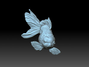 Goldfish Modèles 3D en vedette