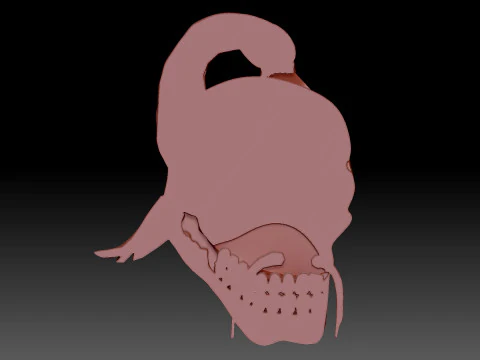 Skull 3D Model