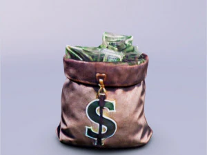 Borsa dei soldi 3D Modello 3D