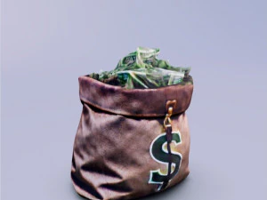 3D Bag Money 3D Model