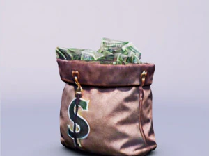 3D Bag Money 3D Model
