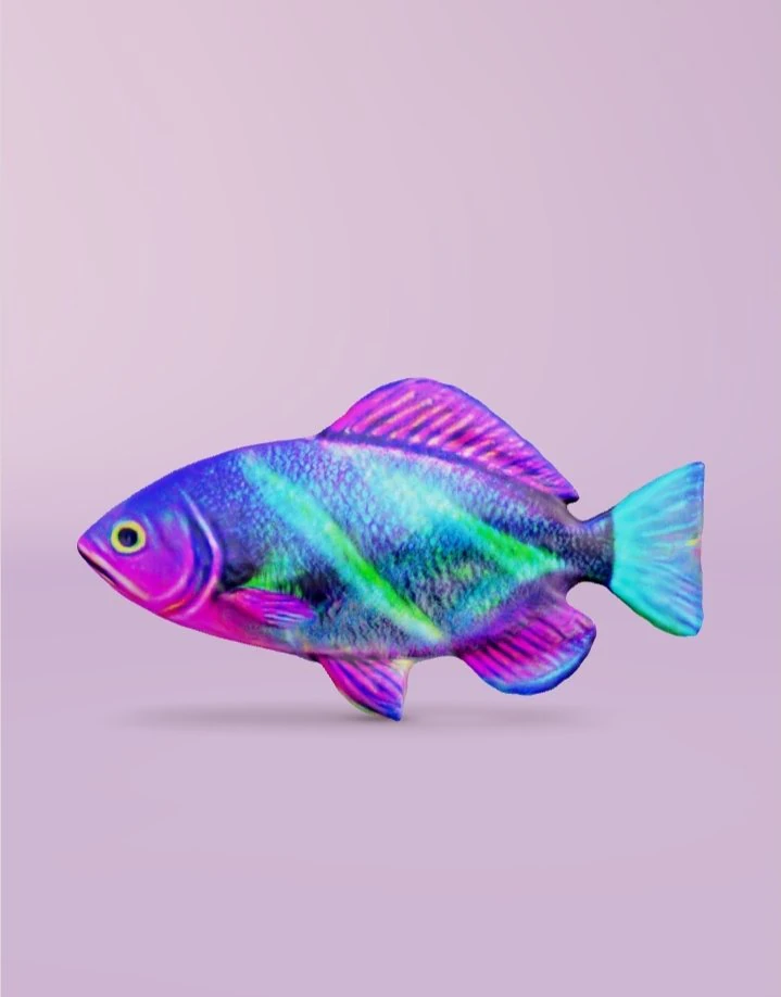 3D Fish 3D Model .c4d .max .obj .3ds .fbx .stl .blend 