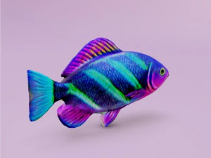 3D Fish 3D Model
