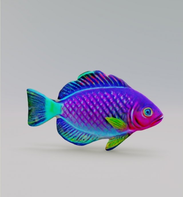 3D Fish 3D Model .c4d .max .obj .3ds .fbx .stl .blend 
