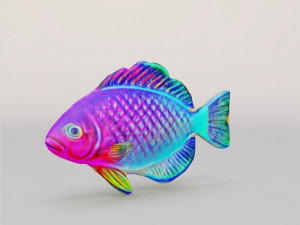 3D Fish 3D Model