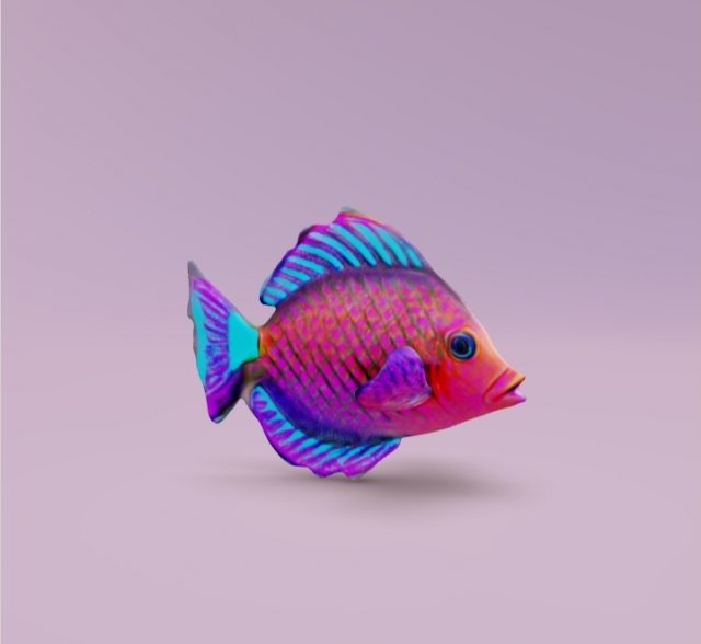Tropical Fish 3D Model .c4d .max .obj .3ds .fbx .stl .blend 