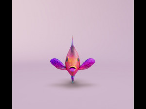 Tropical Fish 3D Model