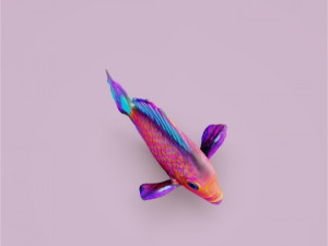 Tropical Fish 3D Model