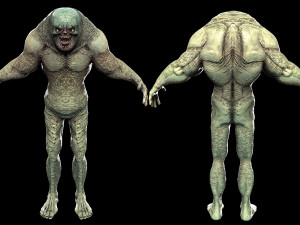 MN B 3D Model