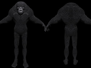 MN B 3D Model