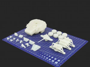 Ferus 3D Print Model