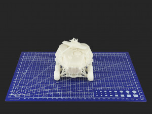 Ferus 3D-Druckmodell