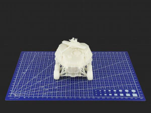 Ferus 3D Print Model