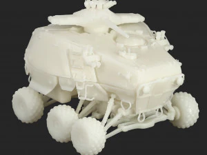 Ferus 3D Print Model