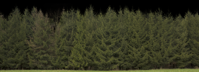 Background 3D Model .c4d .max .obj .3ds .fbx .stl .blend 