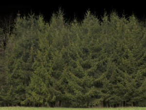 Background Modello 3D