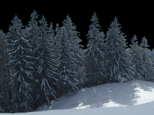 Background 3D Model