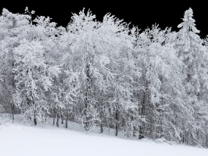 Background 3D Model