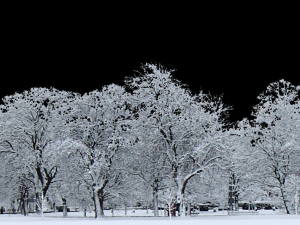 Background 3D Model