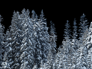 Background 3D Model