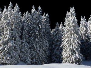 Background 3D Model