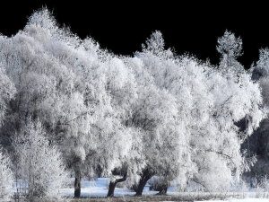 Background 3D Model