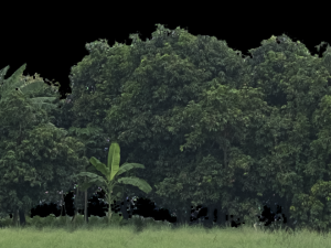 Background 3D Model