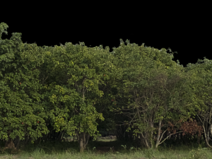 Background 3D Model