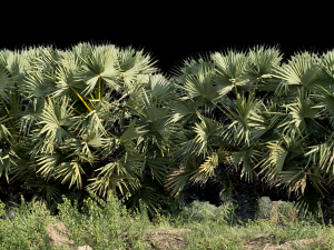 Background 3D Model