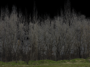 Background 3D Model